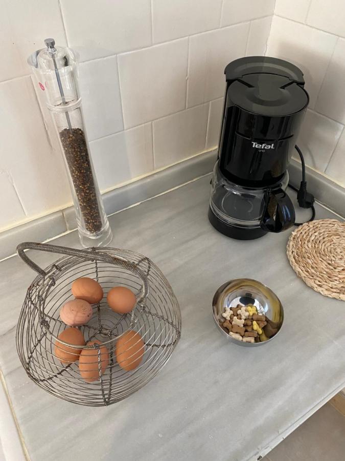 Chez Hélène, Pour 4 Personnes Chiens Bienvenus-perros Bienvenidos Appartement *